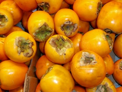 Pile of persimmons photo