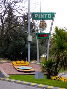 Pinto - 008