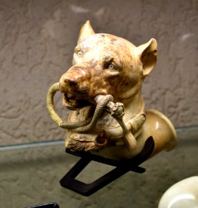 Pipe chien écume de mer Saint-Claude 17072017
