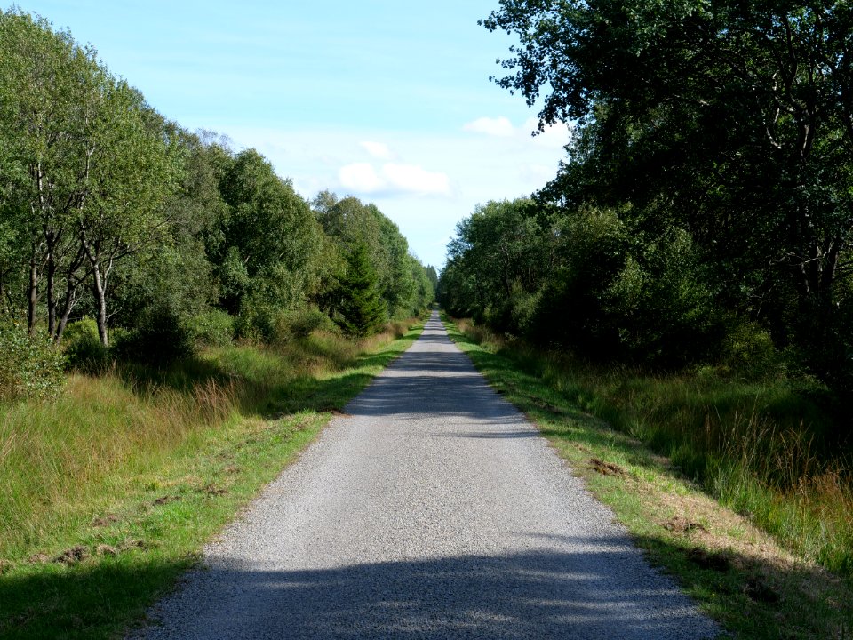Pilgerweg Hautes Fagnes 06