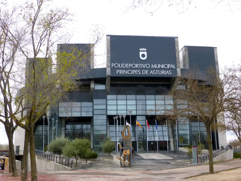 Pinto - Polideportivo Municipal Príncipes de Asturias 5