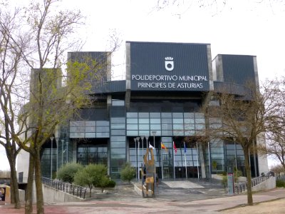 Pinto - Polideportivo Municipal Príncipes de Asturias 5