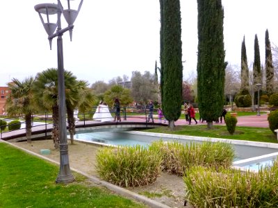 Pinto - Parque Juan Carlos I (7)
