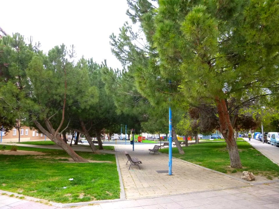 Pinto - parque 06