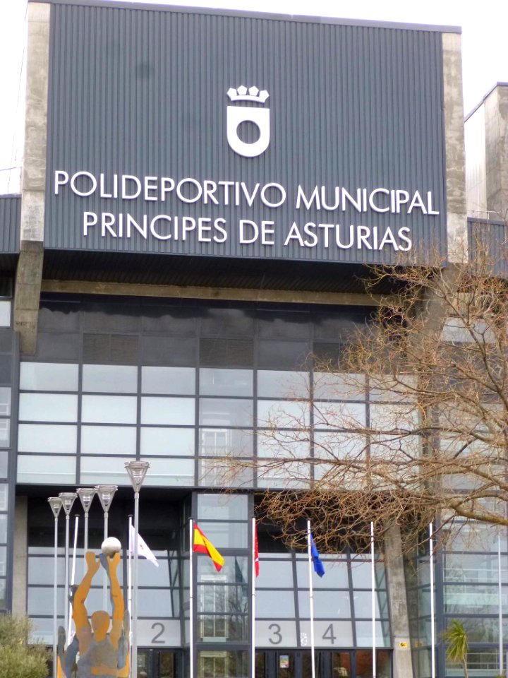 Pinto - Polideportivo Municipal Príncipes de Asturias 6