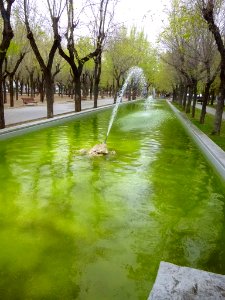 Pinto - Parque del Egido 1