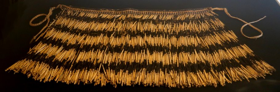 Piu-piu (Maori dance skirt), Honolulu Museum of Art 4507.1 photo