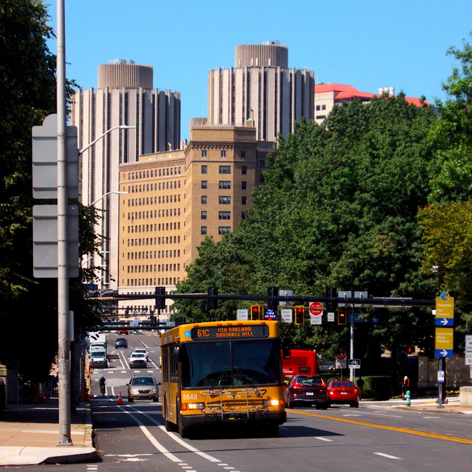 Pittsburgh Oakland 2019-08-19 61C Bus on Forbes Avenue