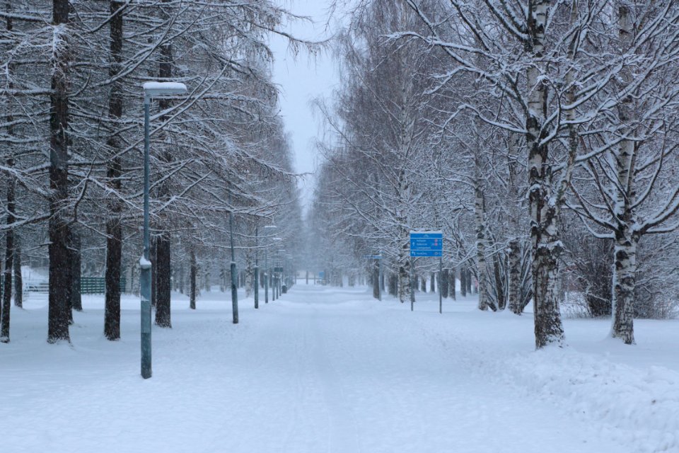 Pikku-Iikan polku Oulu 20210101 01