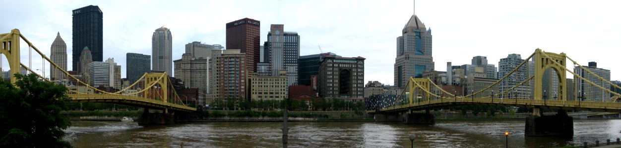 Pittsburgh Skyline from North Shore, 2015-06-17, 01