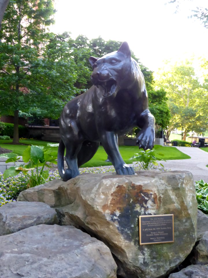 Pitt-Panther