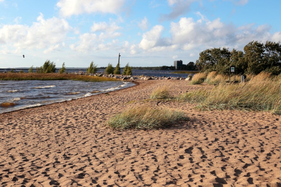 Pitkänmöljännokka Oulu 20200823 02