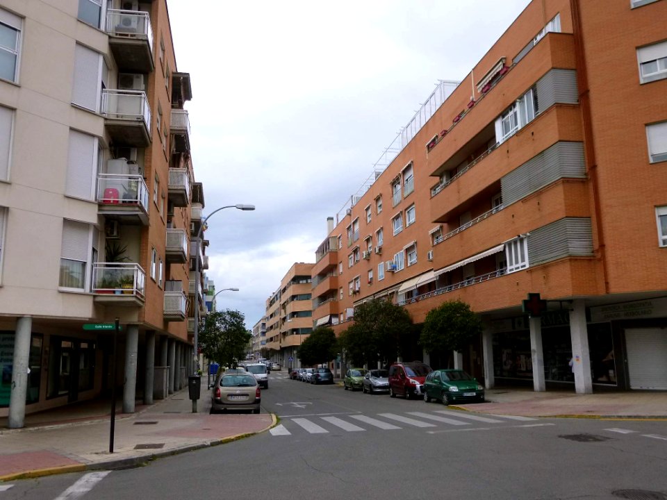 Pinto - 016