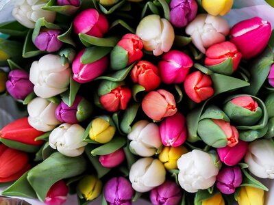 Flower spring bouquet