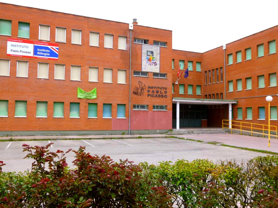 Pinto - Instituto Pablo Picasso