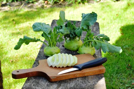 Green a garden plant a vegetable