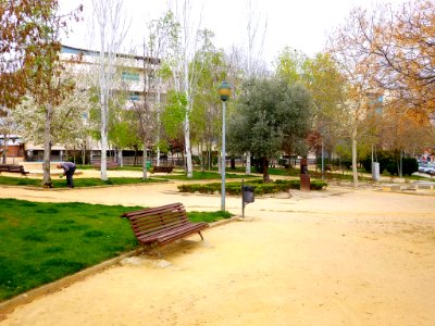 Pinto - parque 03