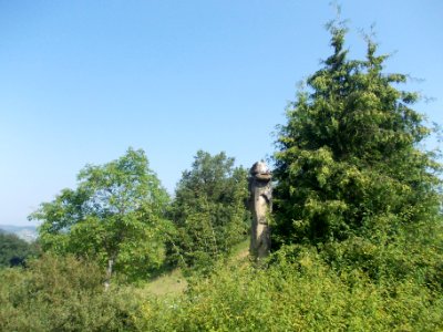 Plague Column (Rifnik) 02