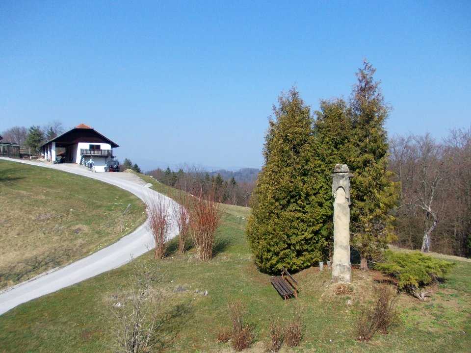 Plague Column (Rifnik) 03