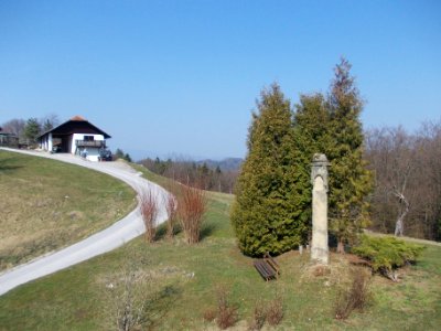 Plague Column (Rifnik) 03