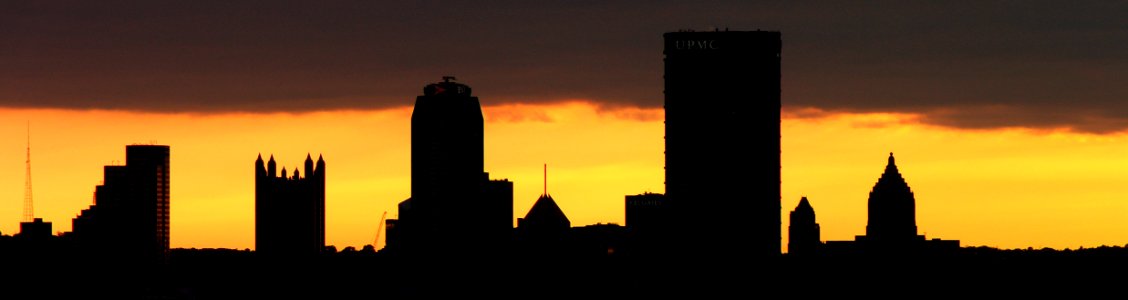 Pittsburgh Skyline from Schenley Park, 2015-06-03, 03
