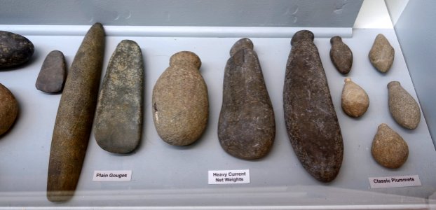 Plain gouges, heavy current weights, classic plummets - Late Archaic collection - Robbins Museum - Middleborough, Massachusetts - DSC03813