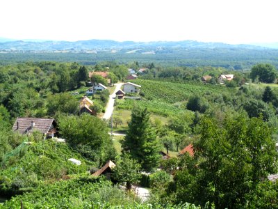 Piršenbreg