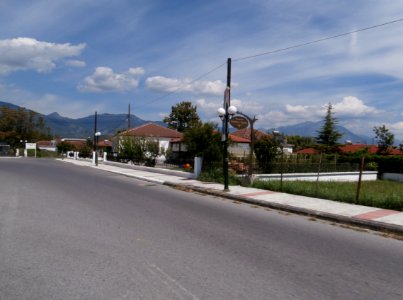 Piperies 8255204