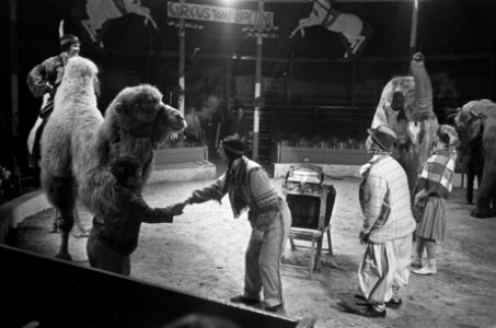 Pipo in het circus bij Toni Boltini, drukte in de piste, Bestanddeelnr 921-1045