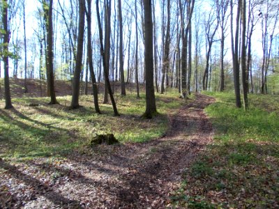 Piršenbreg 30