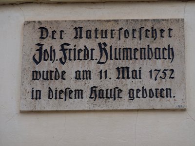 Plakette am Geburtshaus von Johann Friedrich Blumenbach, Fritzelsgasse 1, Gotha