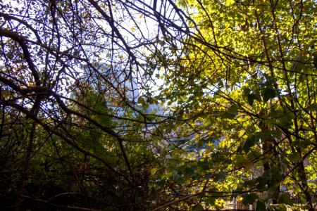 Piszkéstető astrodome from the forest