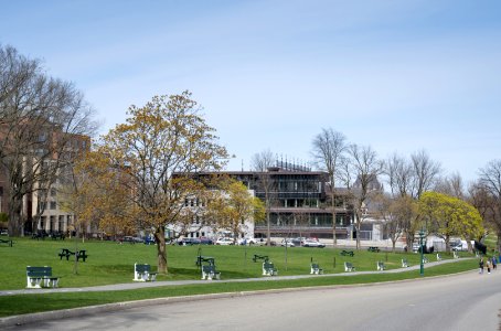 Plaines d'Abraham 002