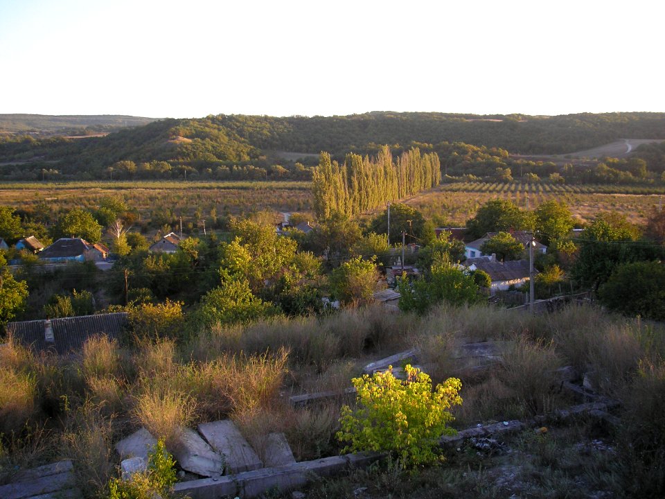 Pirogovka 6