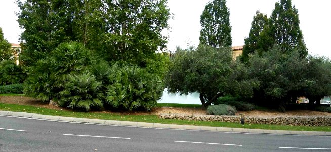 Plaça de La Pastoreta