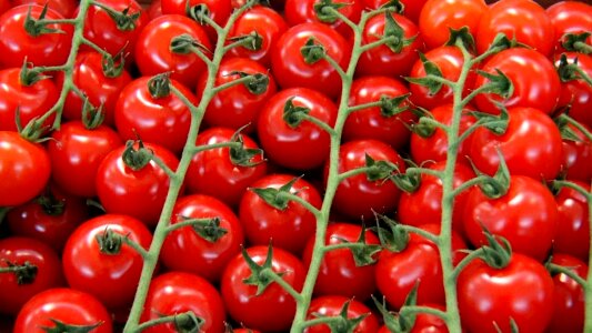 Healthy red delicious