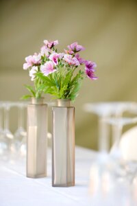 Setting table setting floral
