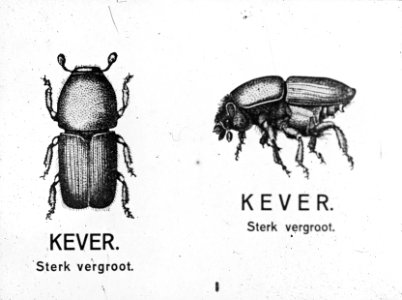 Plaat, Bestanddeelnr 193-0145