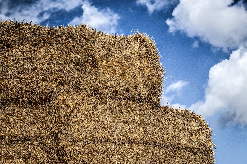 Packs of straw heaven hdr