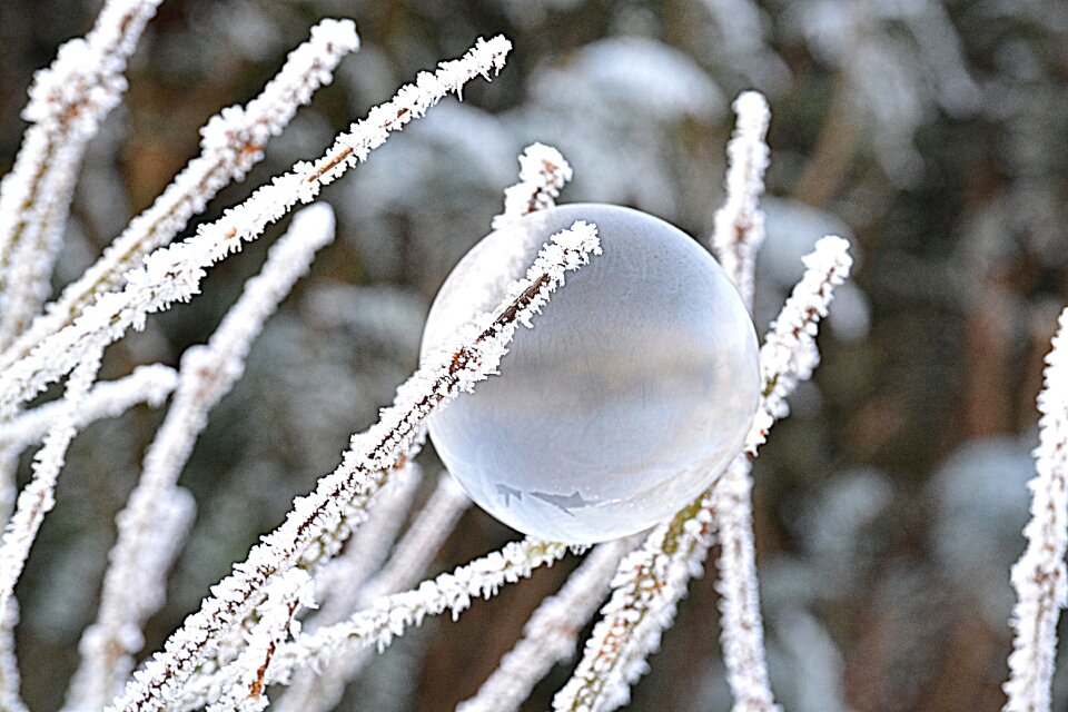 Soap bubble hoarfrost snow