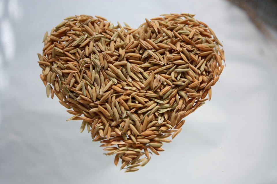 Heart rice rice heart