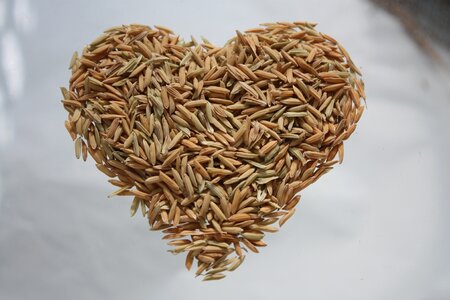 Heart rice rice heart