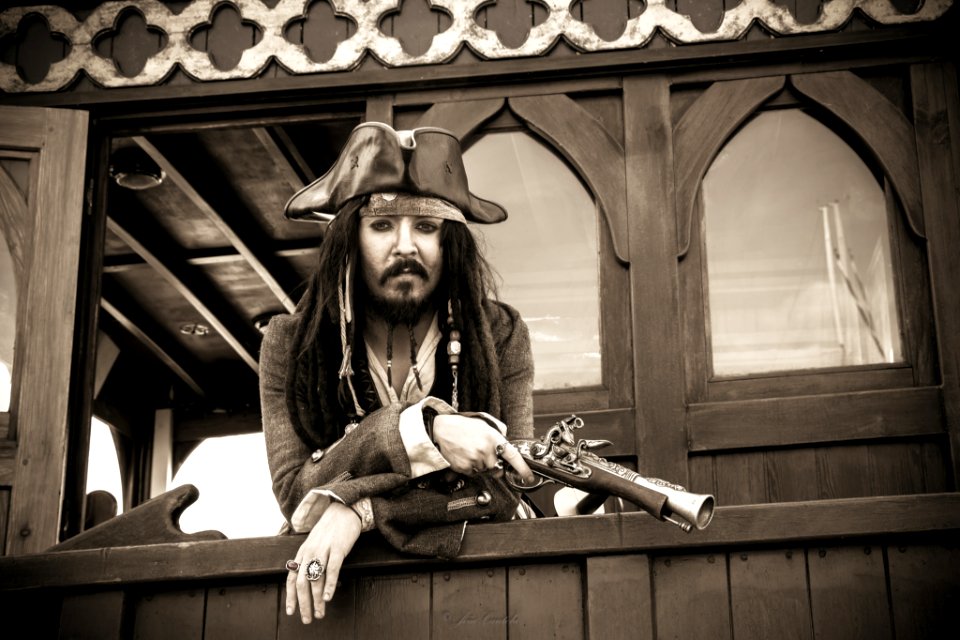 Pirate Life Is Hard (209099517)