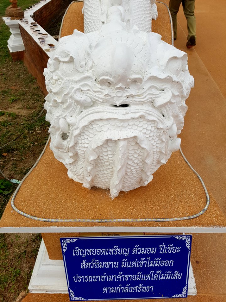 Pixiu monster - Wat Hiranyawat - Chiang Rai - 2017-01-02 - 003