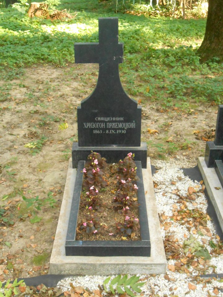 Polish Catholic cemetery in Smolensk - 06