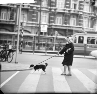 Politie bekeurt zebrazondaars Vrouw steekt over, Bestanddeelnr 913-1864