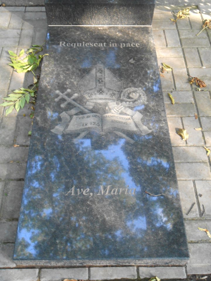 Polish Catholic cemetery in Smolensk - 04