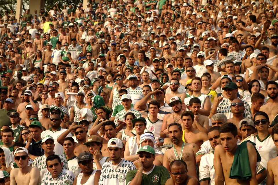 Stadium fans support