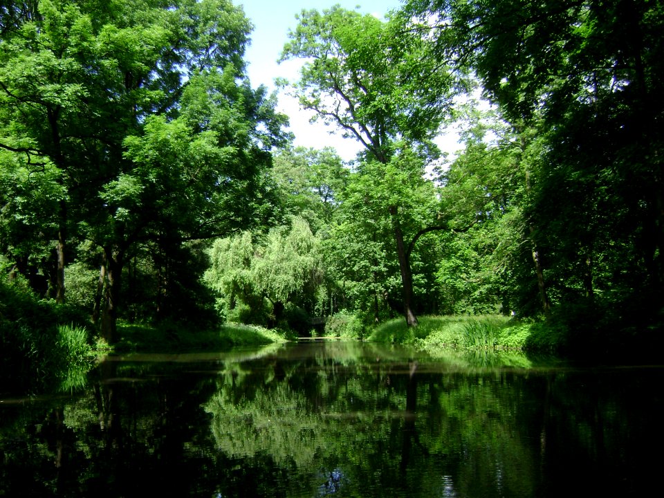 Poland. Warsaw. Śródmieście. Royal Baths Park 029