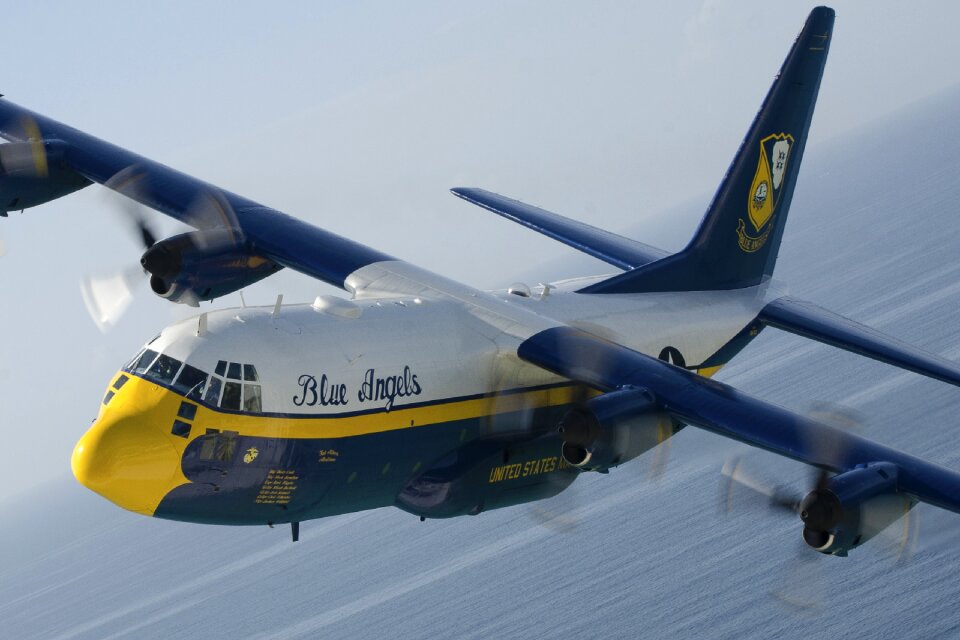 Navy flight military